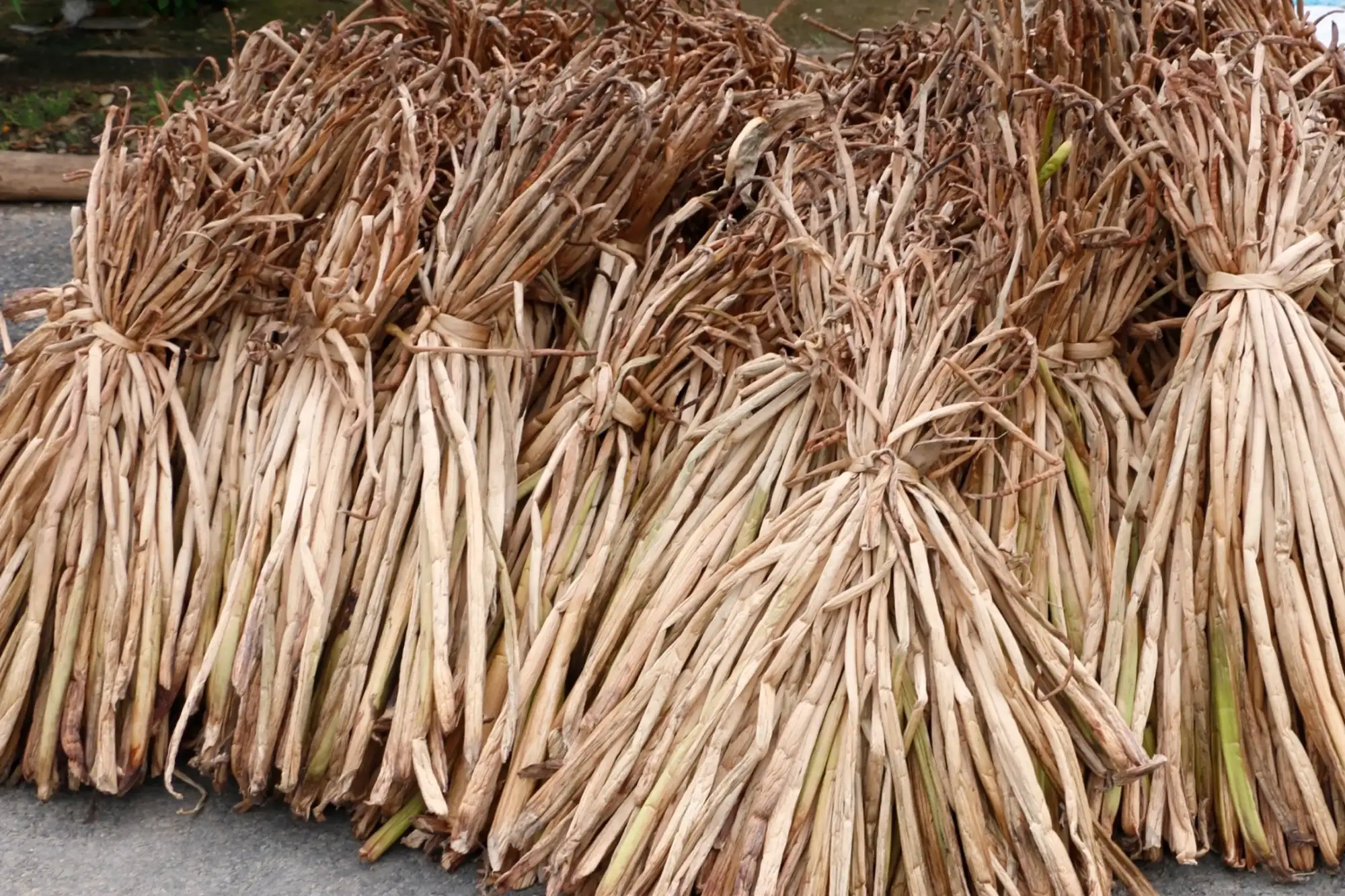 Bundles of natural water hyacinth fibers harvested and dried, showing raw material preparation before weaving and production.