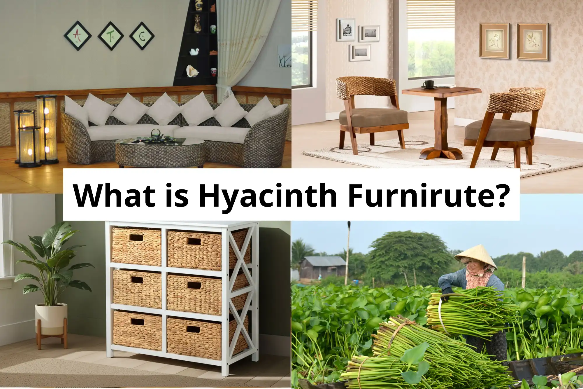 All About Water Hyacinth Furniture and the Trend of Natural Woven Materials