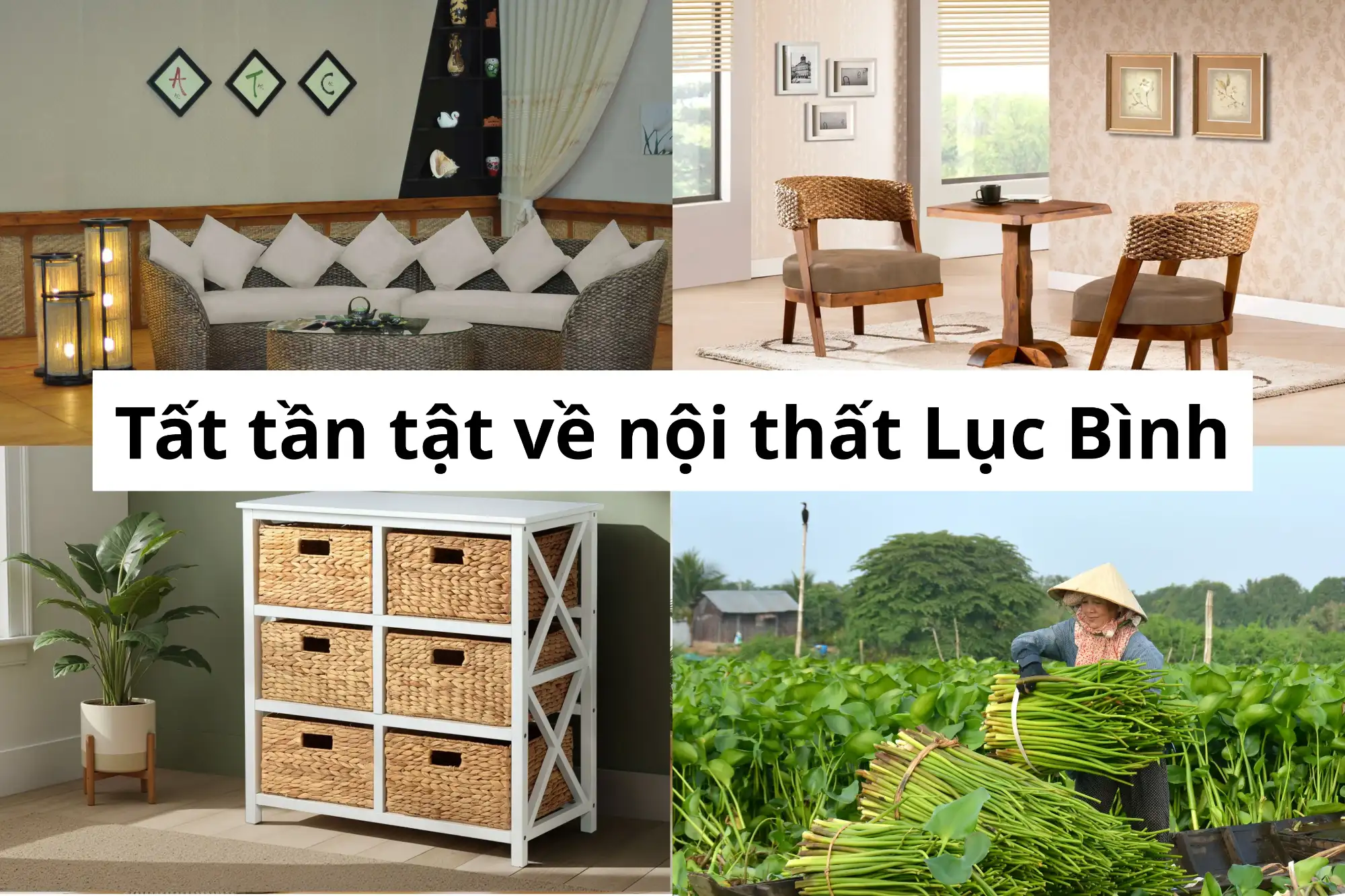 Tất cả về nội thất lục bình và xu hướng thiết kế sử dụng vật liệu đan tự nhiên