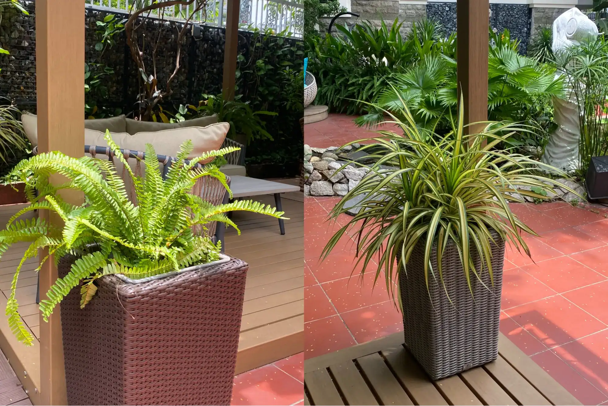 Chậu cây mây nhựa vật liệu bền chắc sử dụng thay cho chậu cây bằng đá thông thường giúp không gian trở nên gần gũi với thiên nhiên hơn