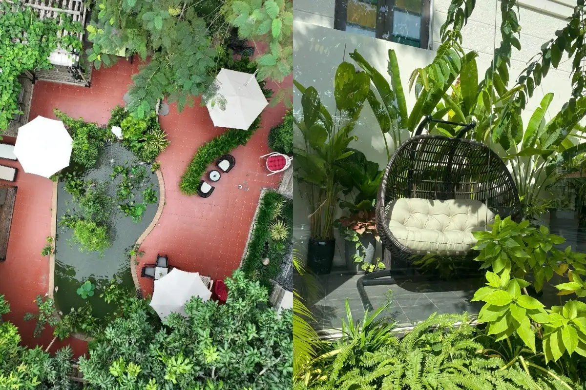 Cảnh nhìn từ trên cao của khu vườn tươi tốt, với những loại cây đầy màu sắc và một chiếc ghế treo êm ái