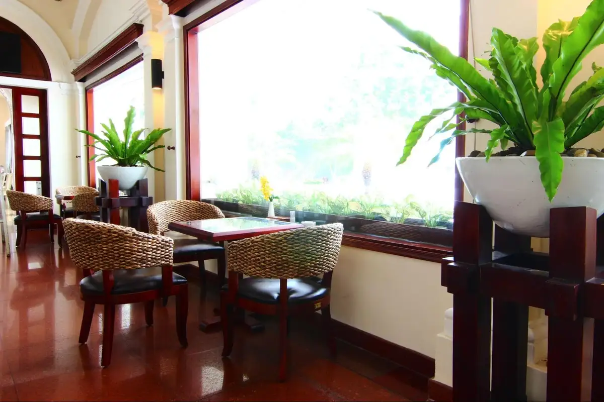 Không gian quán cà phê với bàn gỗ và ghế mây nhựa phối nệm da, gần cửa sổ lớn tràn ngập ánh sáng tự nhiên, tạo cảm giác thoáng mát và ấm cúng.  
