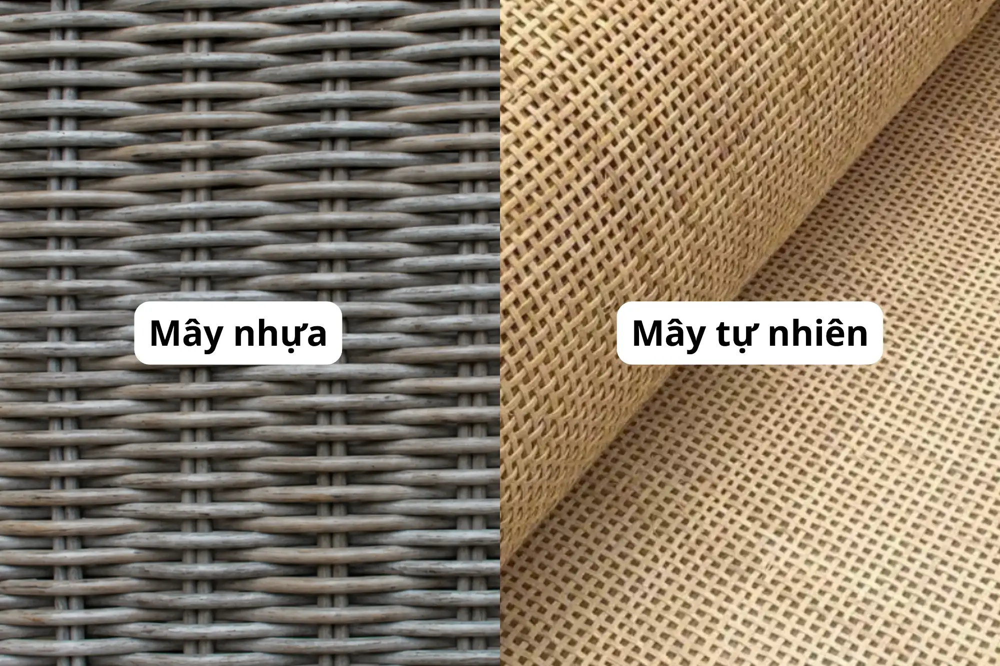 Rattan Và Wicker Là Gì? Cách Phân Biệt Khi Chọn Bàn Ghế Sân Vườn