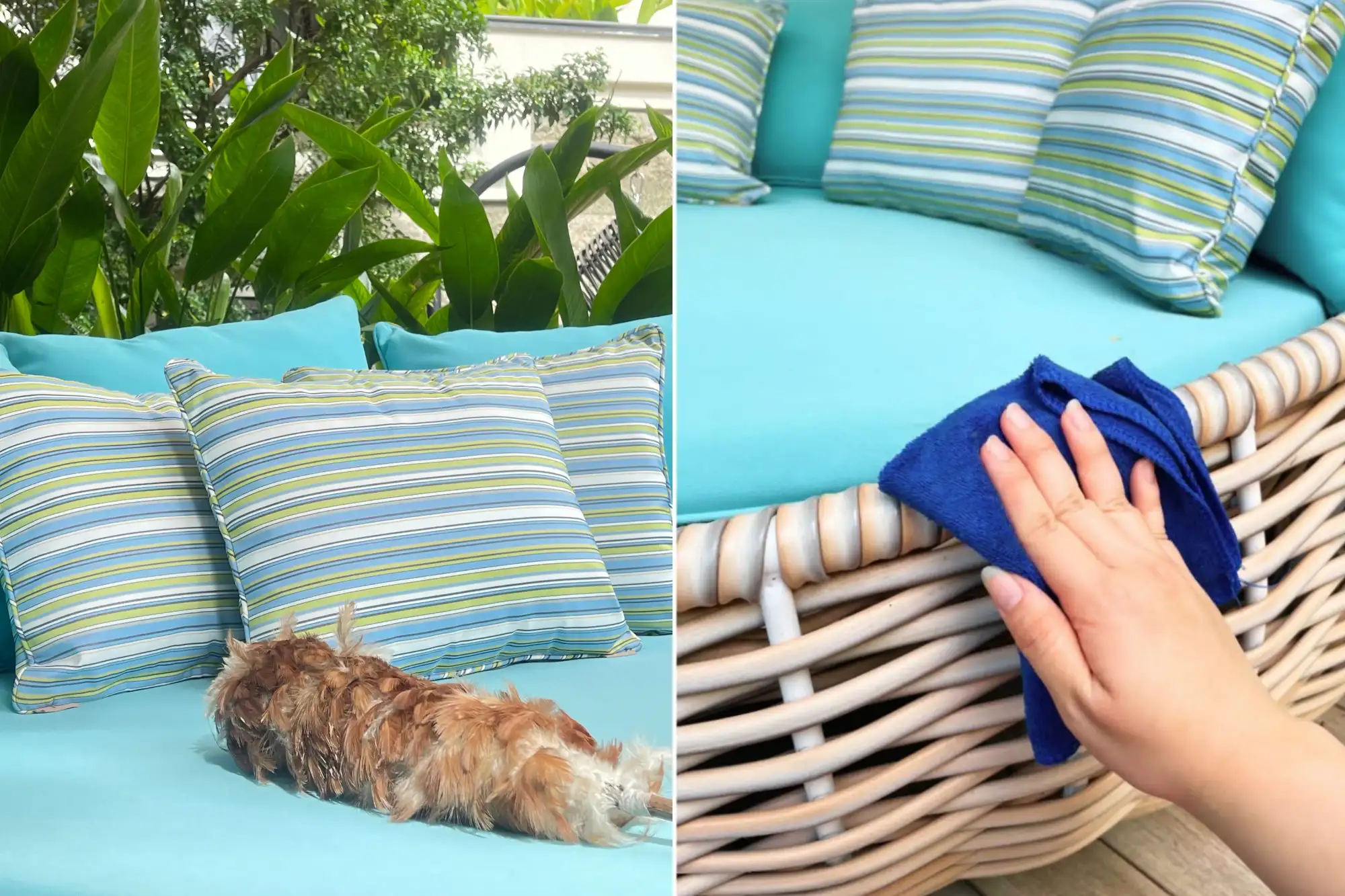 Cleaning synthetic rattan surface with a damp cloth