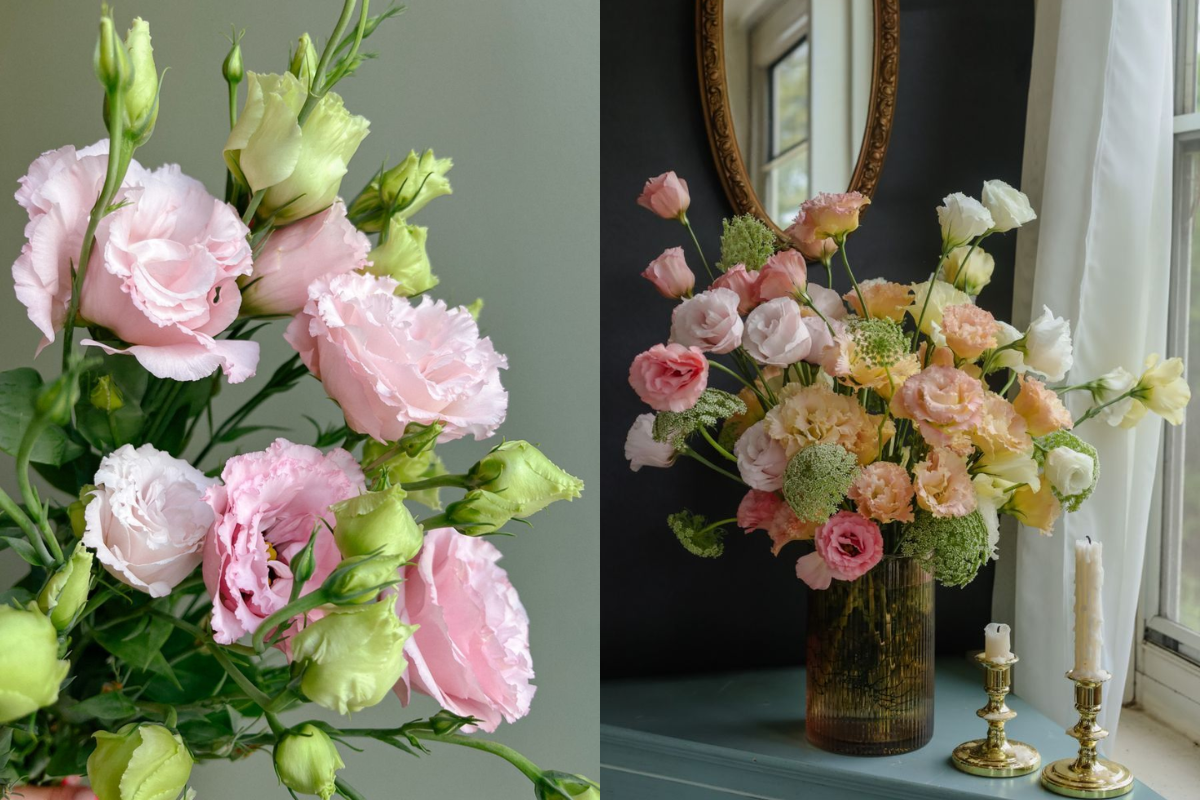 Soft pink, cream, and white lisianthus flowers arranged in a glass vase for elegant home decoration