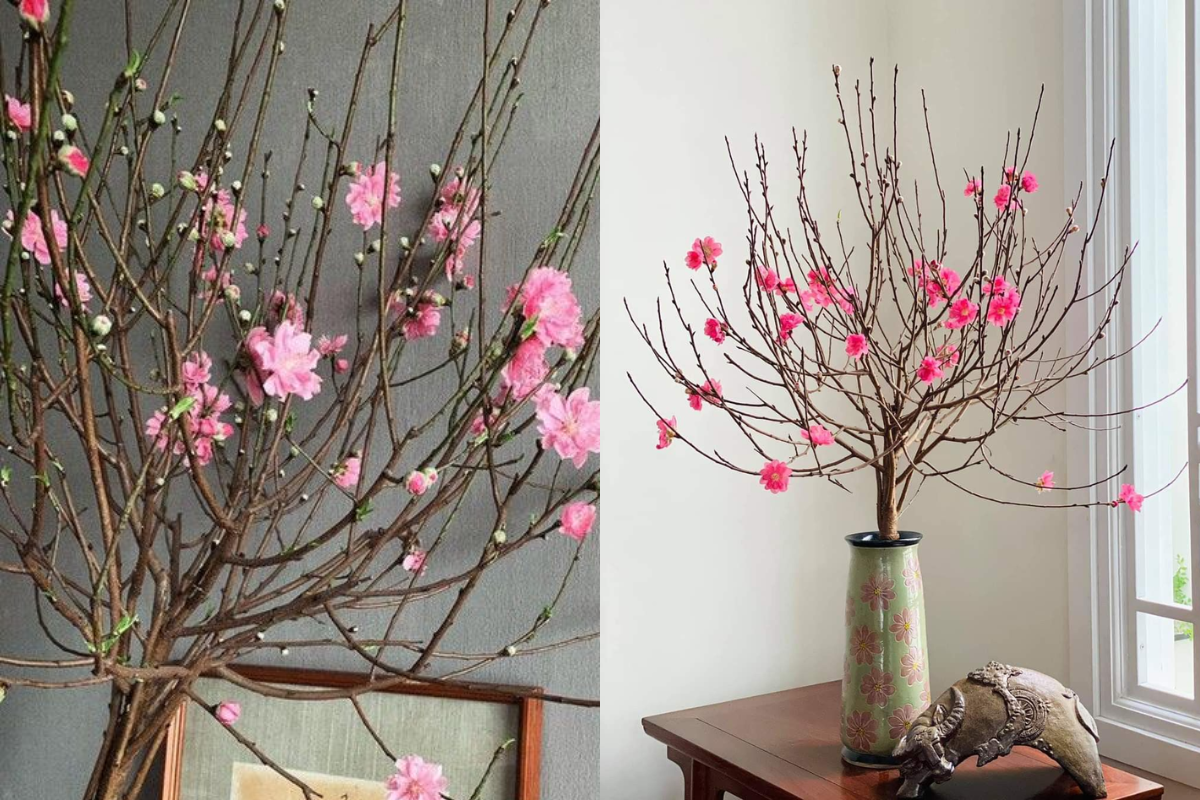 Pink peach blossom branches with budding flowers arranged in ceramic vases for elegant Tet home decoration