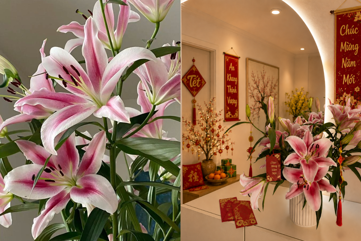 Pink lilies arranged in a white vase with red Tet ornaments and New Year decorations in a warm festive home setting