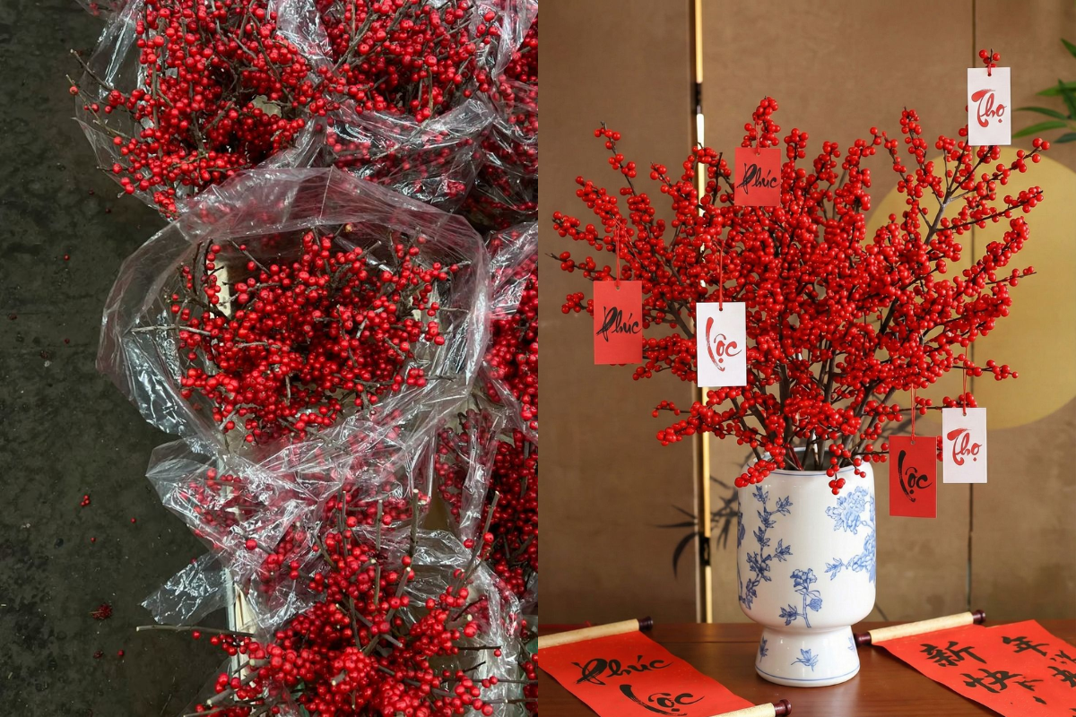 Red winterberry branches arranged in a blue and white ceramic vase with calligraphy cards for Tet decoration