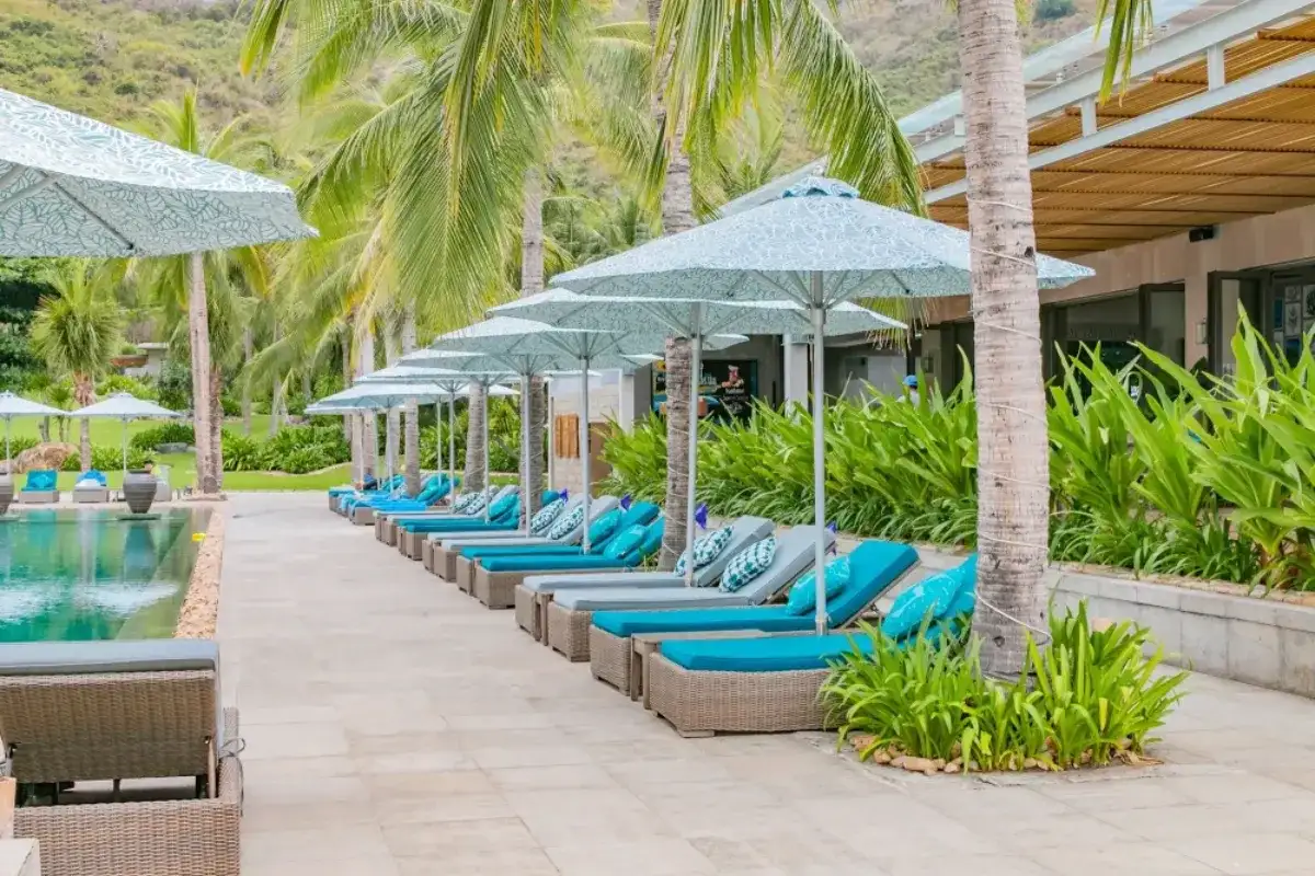 Commercial pool daybeds arranged along a resort swimming pool
