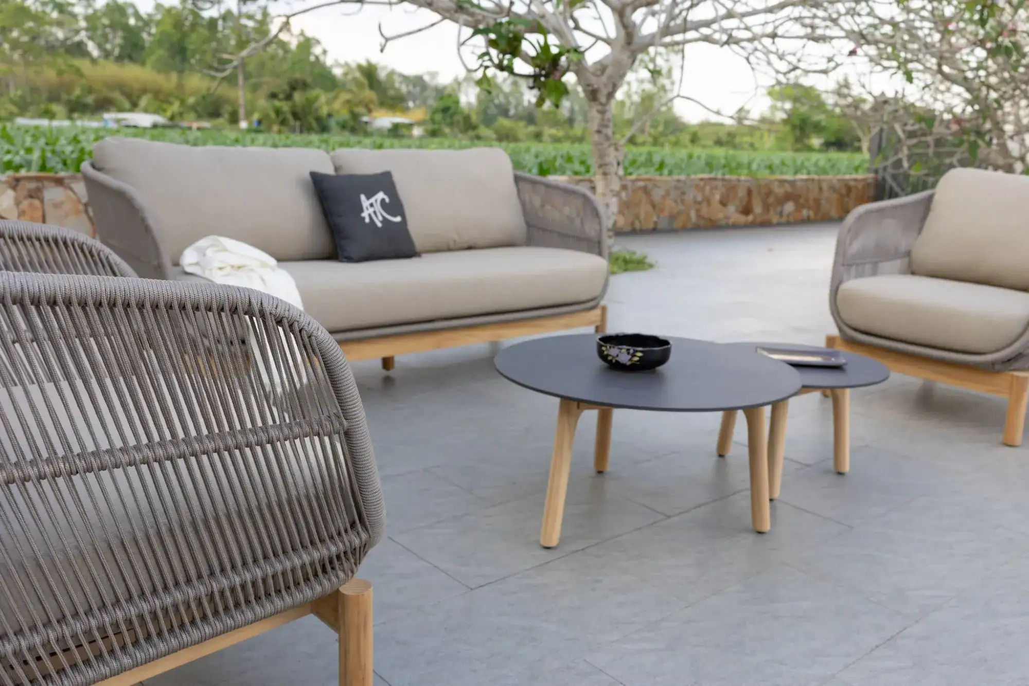 COVE