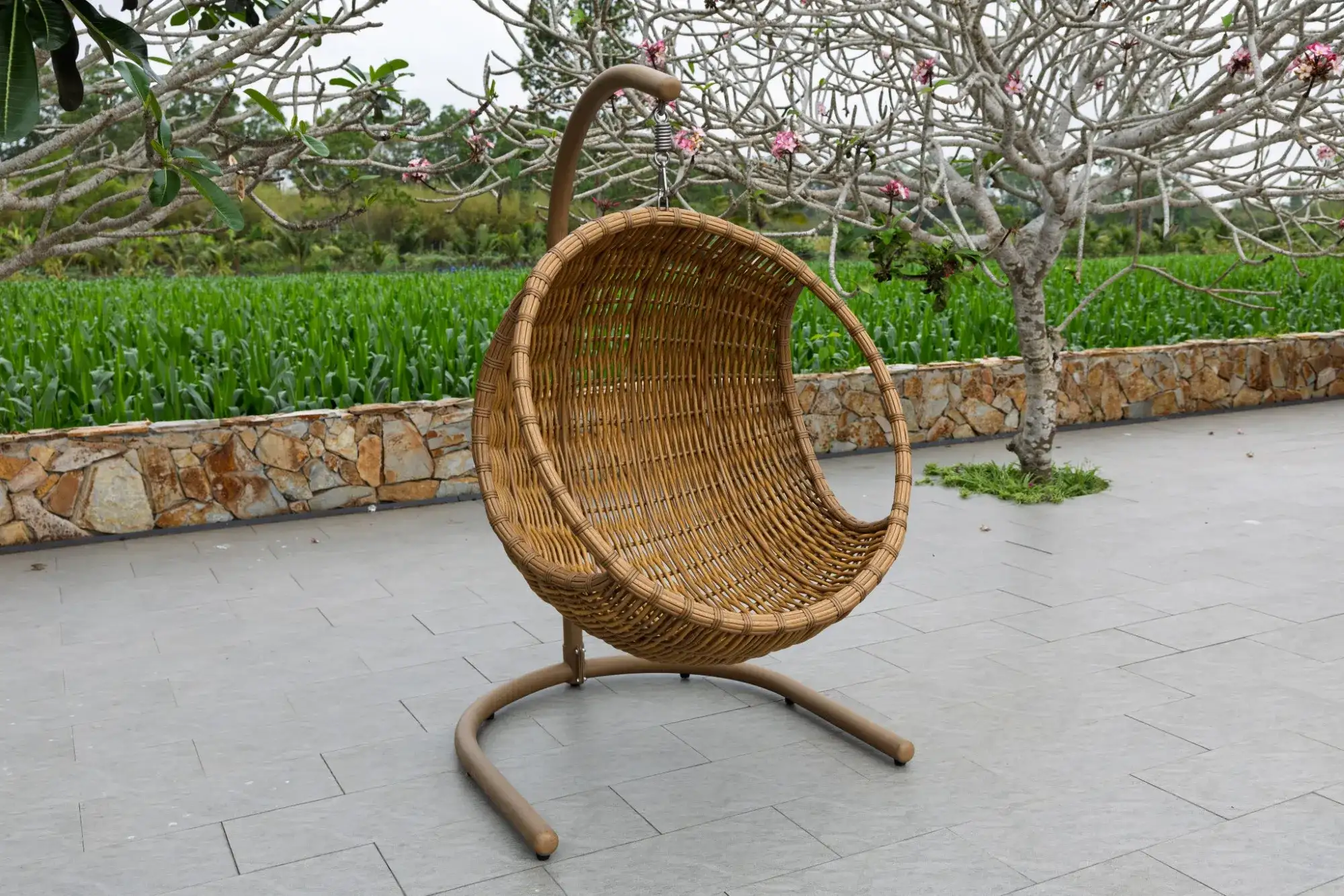 NEST