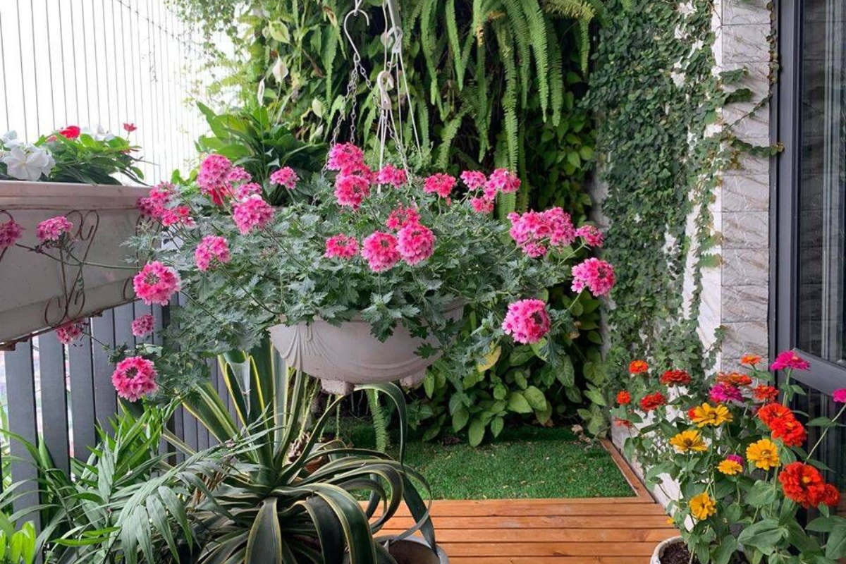 A front entrance corner with pink hanging flower pots and neatly arranged greenery, keeping the pathway open while creating a welcoming atmosphere.