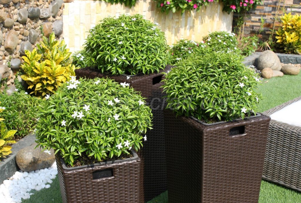 These planters are movable for different decorative ideas